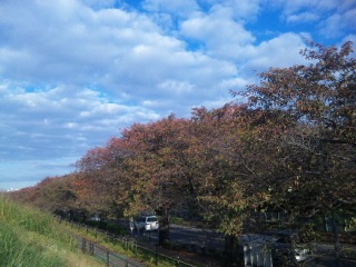 多摩川