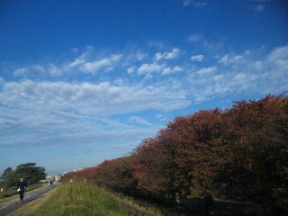 多摩川