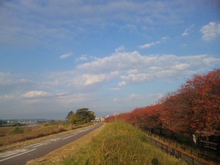 多摩川