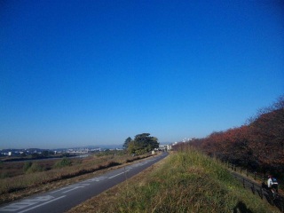 多摩川
