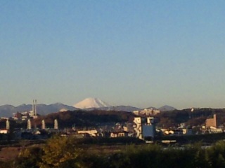 多摩川