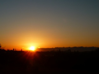 多摩川