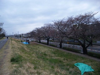 多摩川