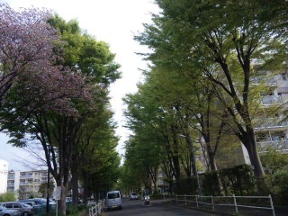 多摩川