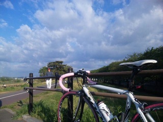 多摩川